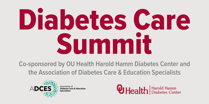 Diabetes Care Summit Title and sponsors graphic.